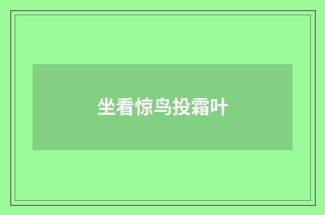 坐看惊鸟投霜叶