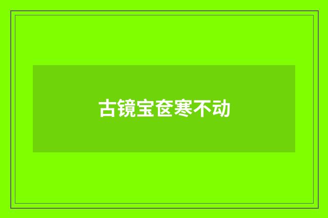 古镜宝奁寒不动