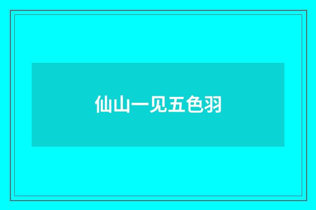 仙山一见五色羽