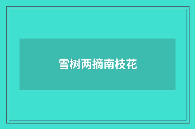 雪树两摘南枝花