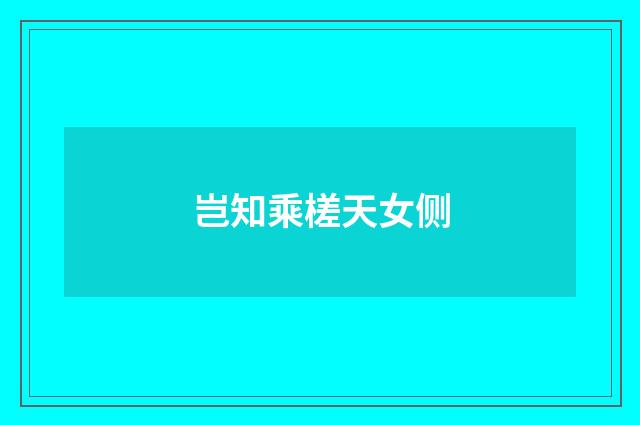 岂知乘槎天女侧