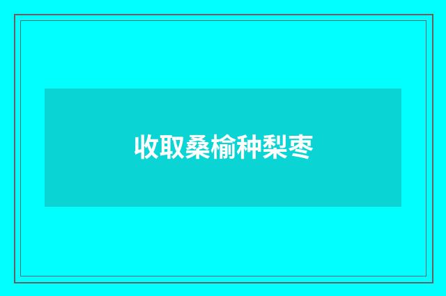 收取桑榆种梨枣
