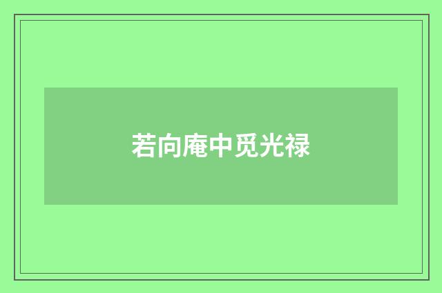 若向庵中觅光禄