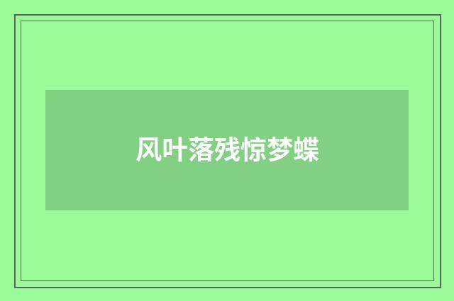 风叶落残惊梦蝶