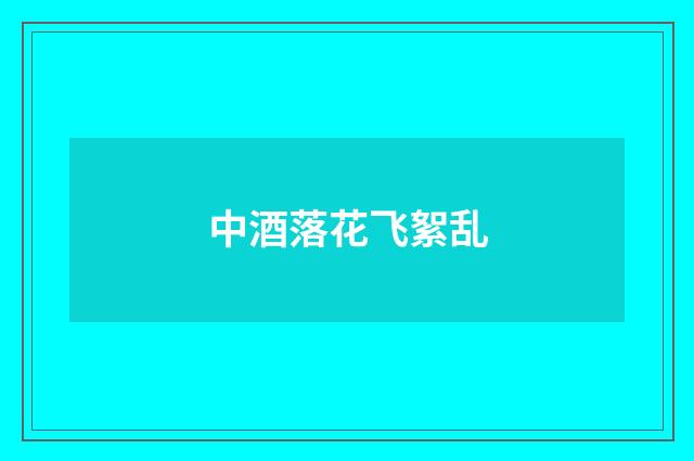 中酒落花飞絮乱