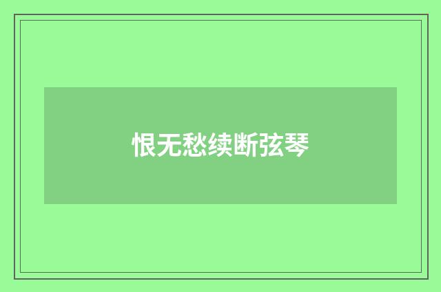 恨无愁续断弦琴