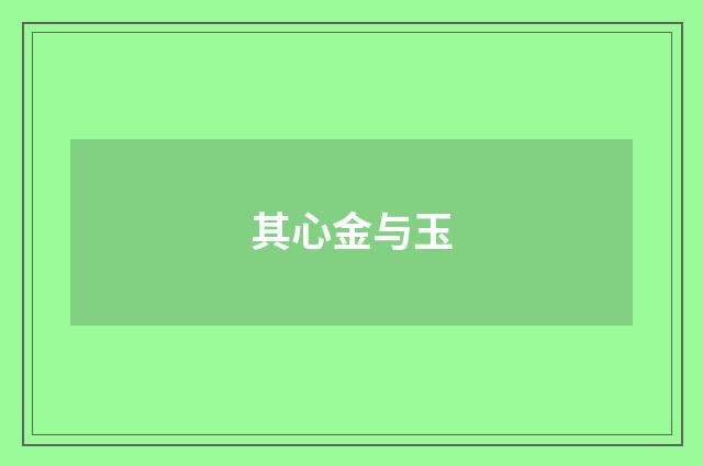 其心金与玉