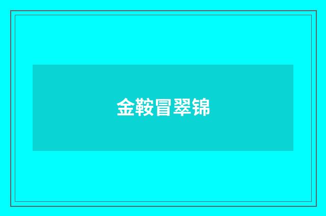 金鞍冒翠锦