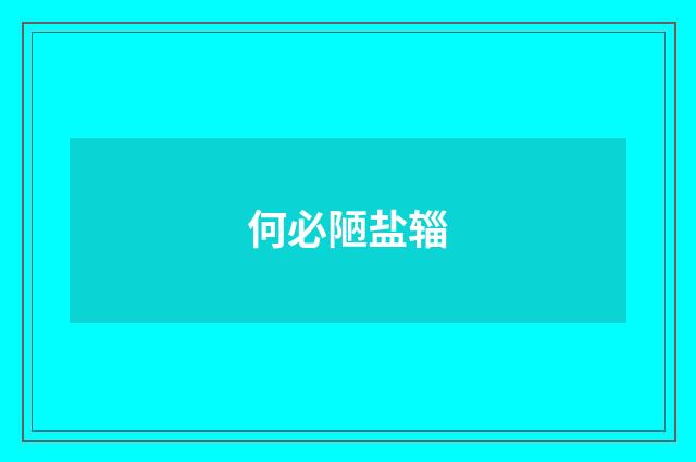 何必陋盐辎