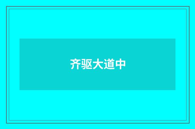 齐驱大道中