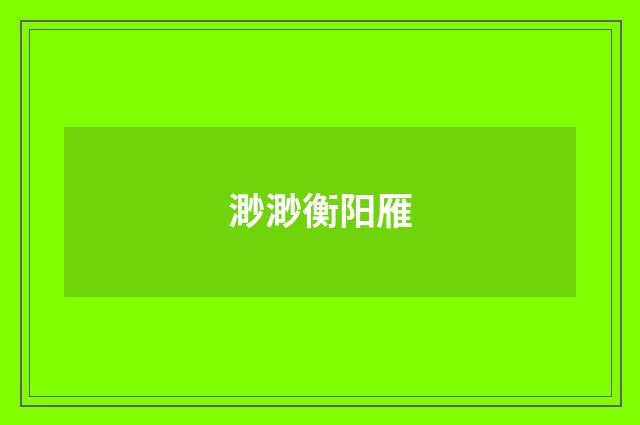 渺渺衡阳雁