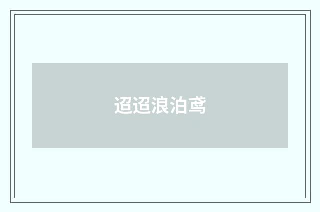 迢迢浪泊鸢