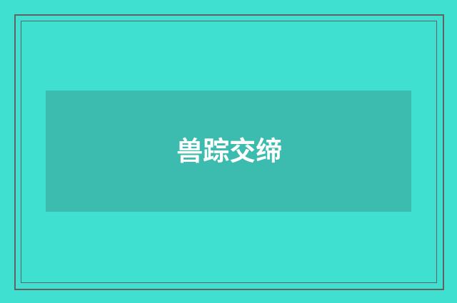 兽踪交缔