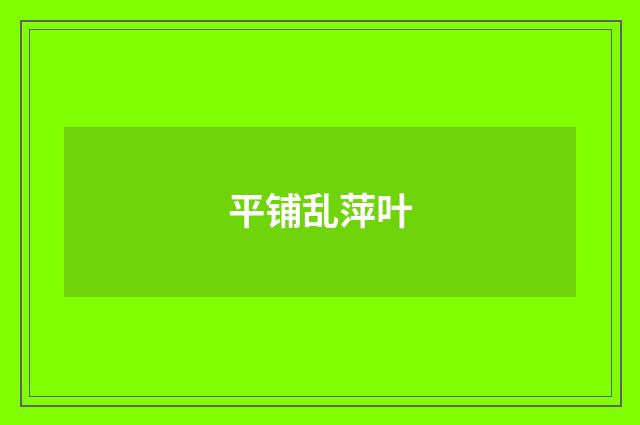 平铺乱萍叶