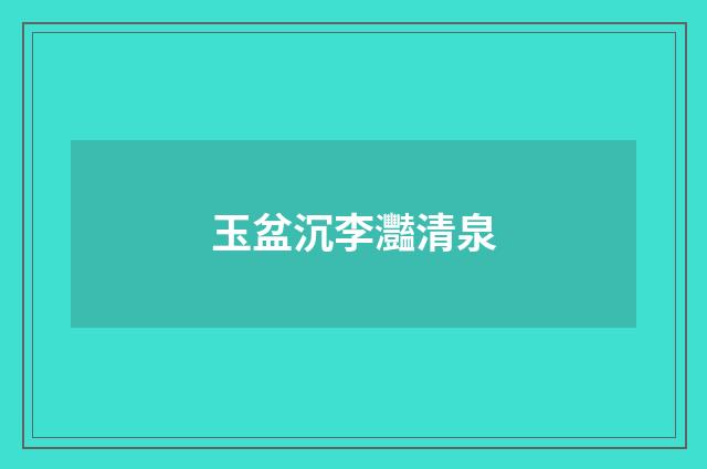 玉盆沉李灩清泉