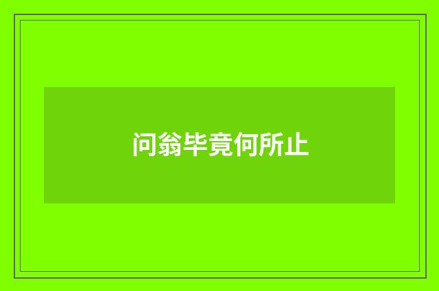 问翁毕竟何所止