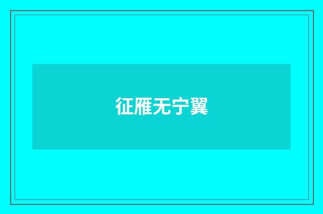 征雁无宁翼