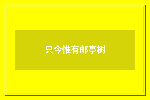 只今惟有邮亭树