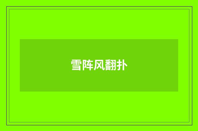 雪阵风翻扑