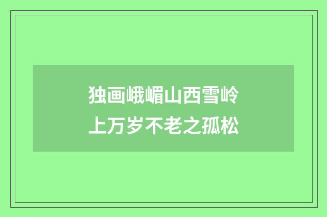 独画峨嵋山西雪岭上万岁不老之孤松