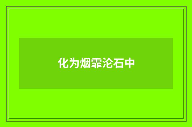 化为烟霏沦石中