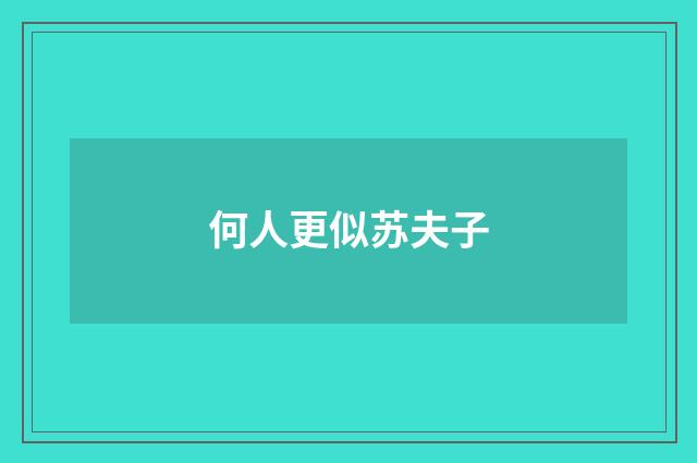 何人更似苏夫子