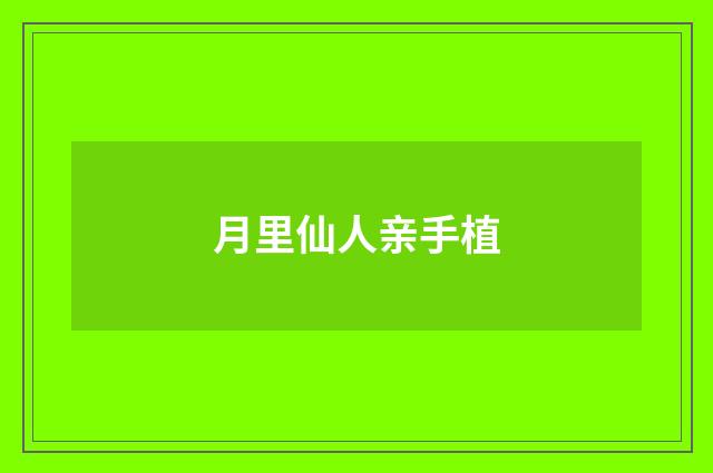 月里仙人亲手植