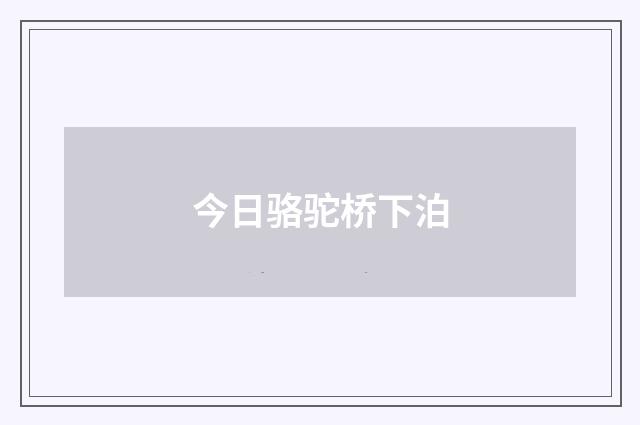 今日骆驼桥下泊