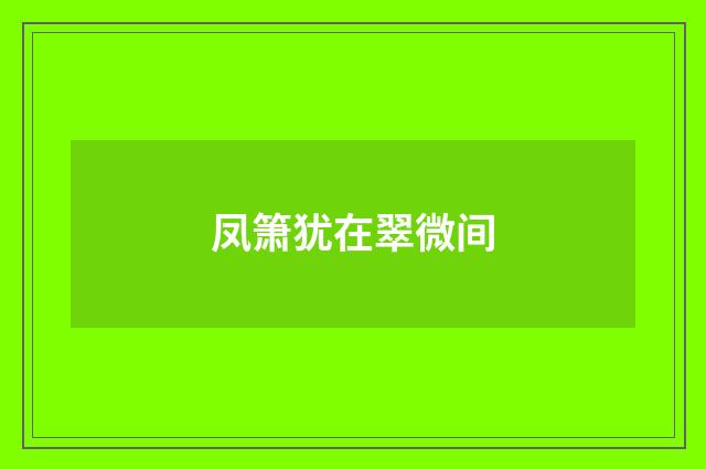 凤箫犹在翠微间