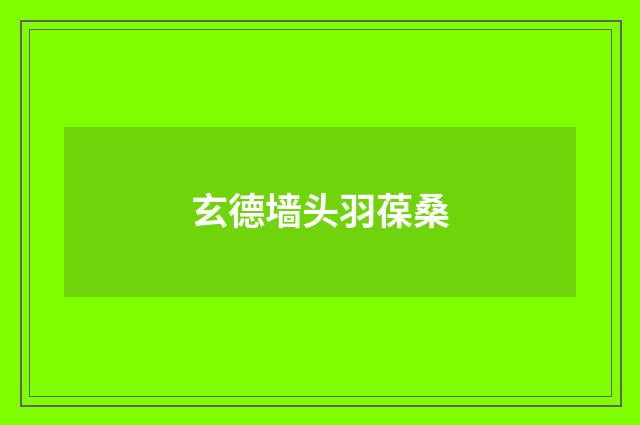 玄德墙头羽葆桑