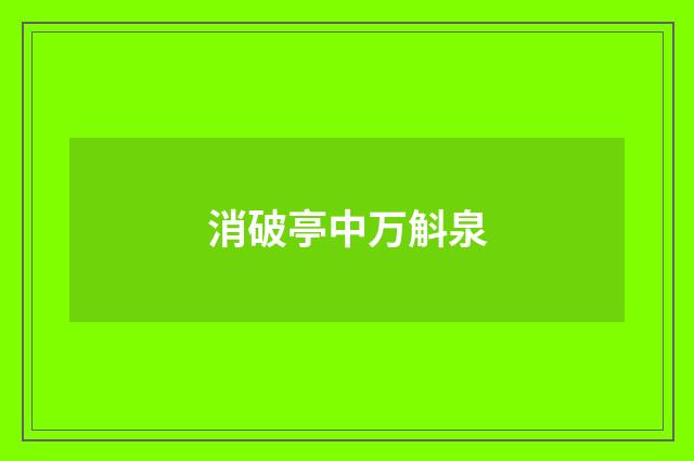 消破亭中万斛泉