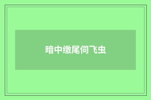 暗中缴尾伺飞虫