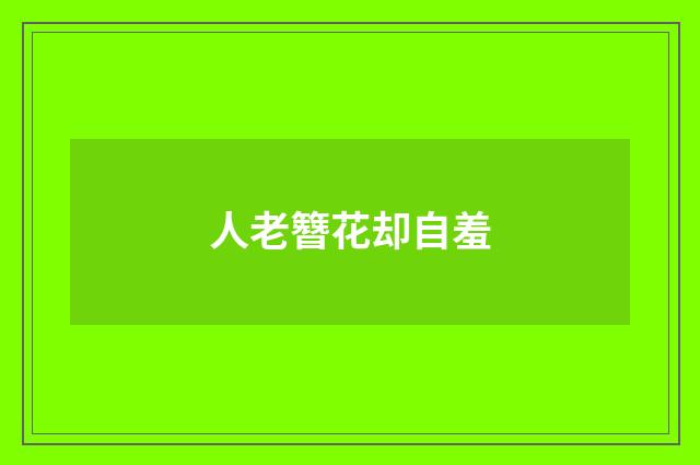 人老簪花却自羞