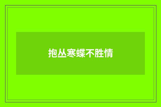 抱丛寒蝶不胜情