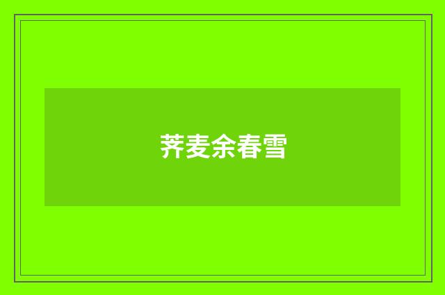 荠麦余春雪