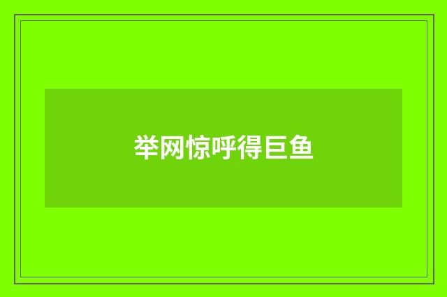 举网惊呼得巨鱼