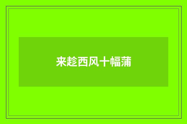 来趁西风十幅蒲