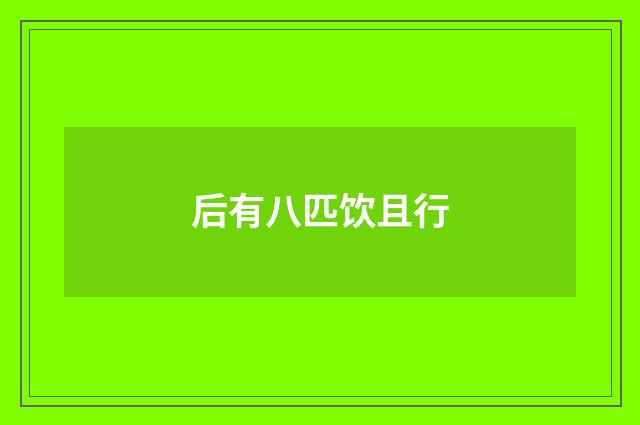 后有八匹饮且行