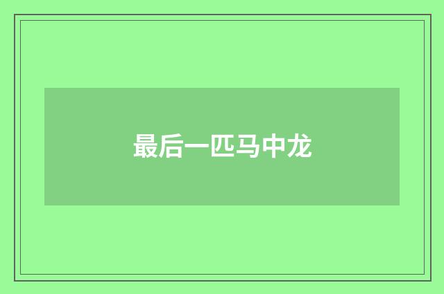 最后一匹马中龙