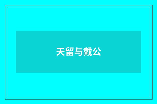 天留与戴公
