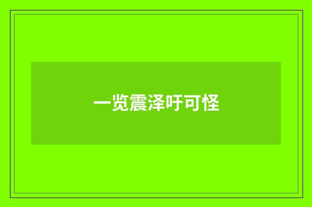 一览震泽吁可怪