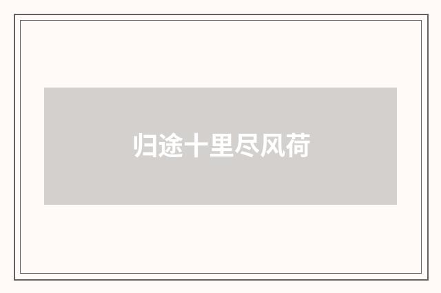 归途十里尽风荷