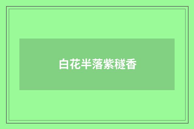 白花半落紫穟香