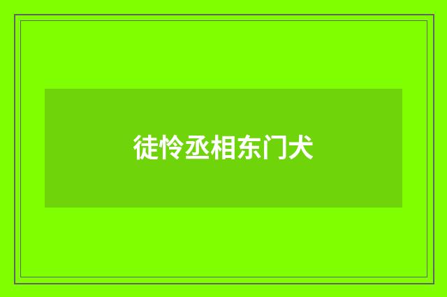 徒怜丞相东门犬