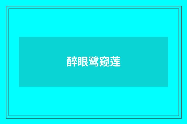醉眼鹭窥莲