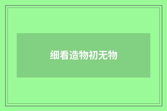 细看造物初无物