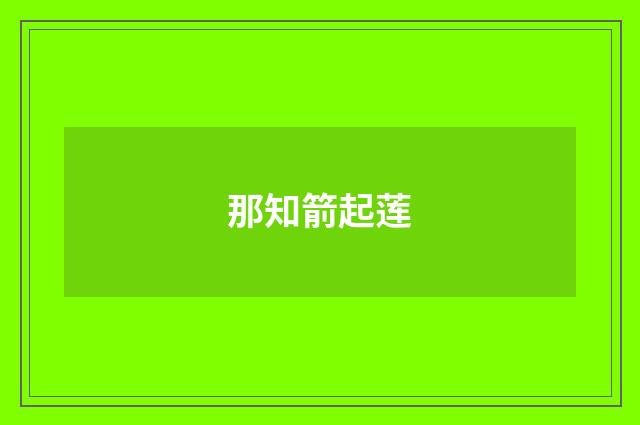 那知箭起莲