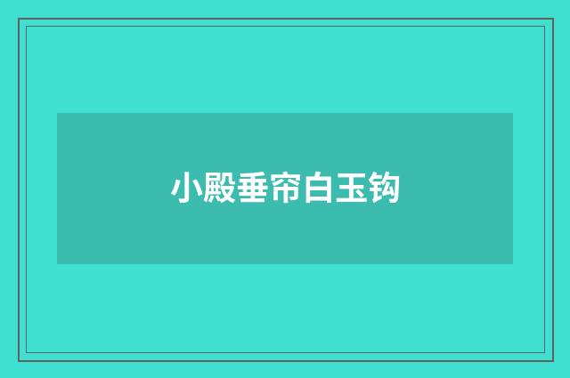 小殿垂帘白玉钩