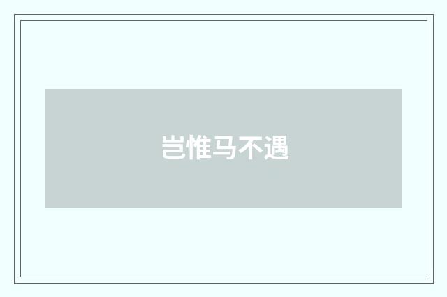 岂惟马不遇