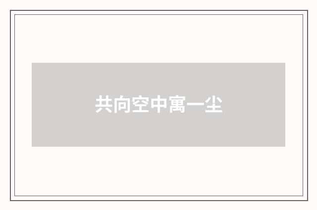 共向空中寓一尘
